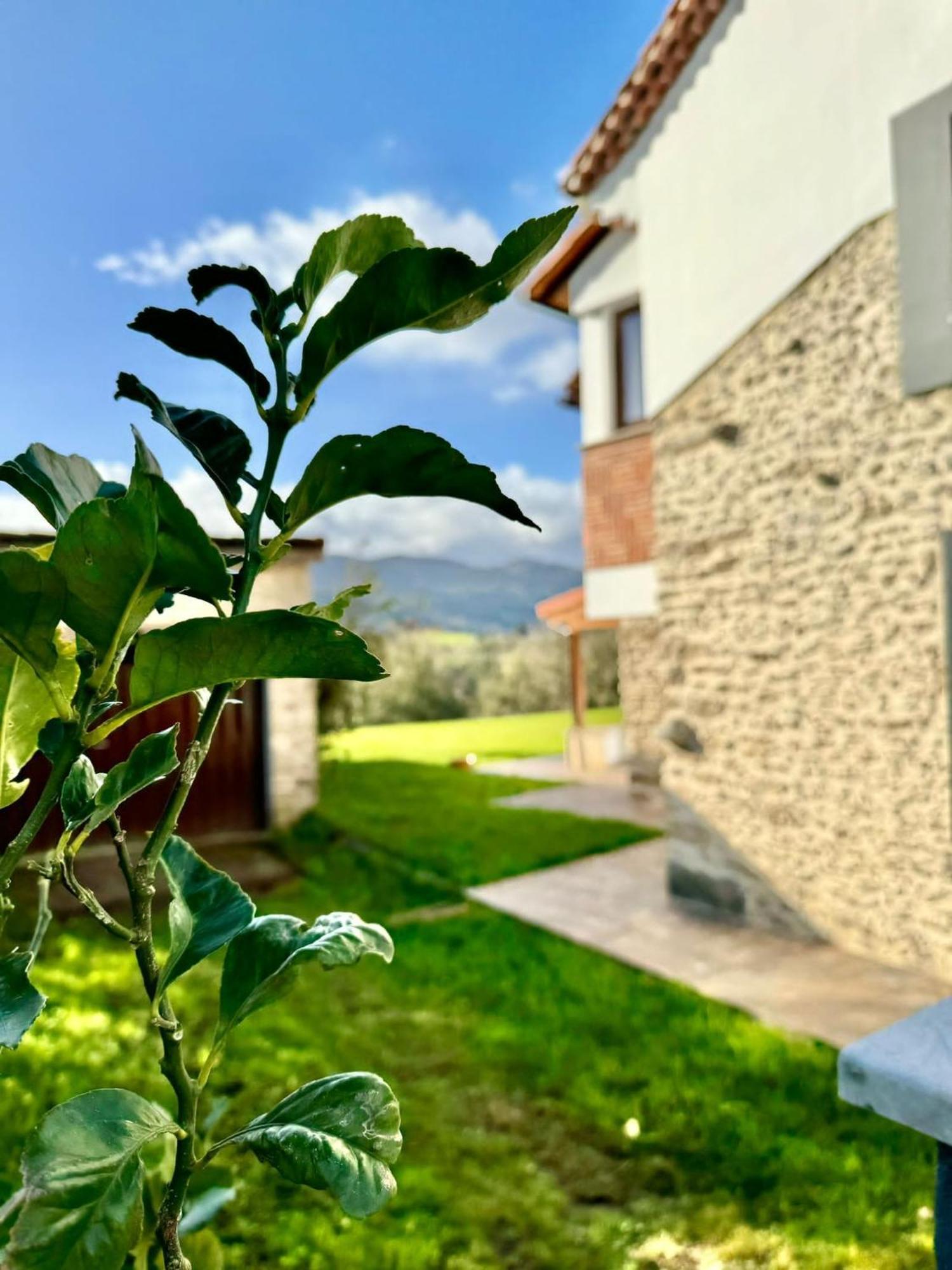 Terradeva Apartamentos Коломбрес Экстерьер фото